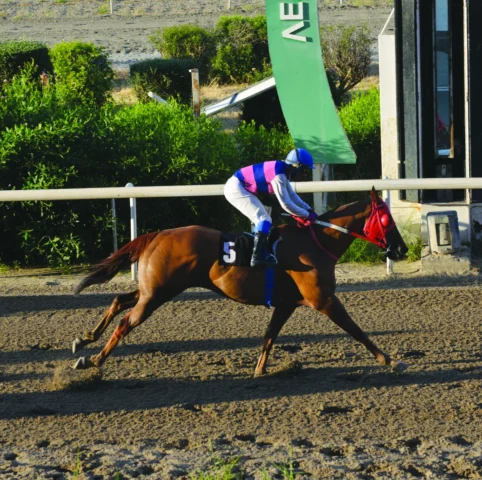 ΙΠΠΟΔΡΟΜΟΣ ΚΥΠΡΟΣ / IPPODROMOS KYPROS ΤΣΙΗΦ ΟΦ ΤΑΡΑ - 06/05/2026