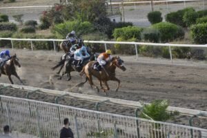 ΙΠΠΟΔΡΟΜΟΣ ΚΥΠΡΟΣ / IPPODROMOS KYPROS ΘΕΟΦΙΛΟΣ 13/05/2026