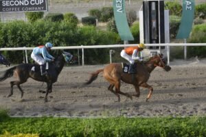 ΙΠΠΟΔΡΟΜΟΣ ΚΥΠΡΟΣ / IPPODROMOS KYPROS ΘΕΟΦΙΛΟΣ 13/05/2026