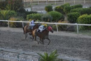 ΙΠΠΟΔΡΟΜΟΣ ΚΥΠΡΟΣ / IPPODROMOS KYPROS ΒΙΤΤΗΣ ΖΕΦΥΡΟΣ - 23/05/2026