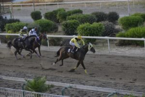 ΙΠΠΟΔΡΟΜΟΣ ΚΥΠΡΟΣ / IPPODROMOS KYPROS ΝΟΒΙΚΟΦ 13/05/2026