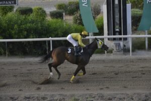 ΙΠΠΟΔΡΟΜΟΣ ΚΥΠΡΟΣ / IPPODROMOS KYPROS ΝΟΒΙΚΟΦ 13/05/2026