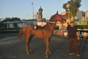 ΙΠΠΟΔΡΟΜΟΣ ΚΥΠΡΟΣ / IPPODROMOS KYPROS ΒΙΤΤΗΣ ΖΕΦΥΡΟΣ - 23/05/2026