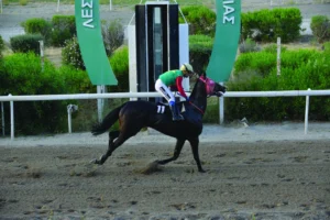 ΙΠΠΟΔΡΟΜΟΣ ΚΥΠΡΟΣ / IPPODROMOS KYPROS ΠΟΥΛΒΕΡ - 17/05/2026