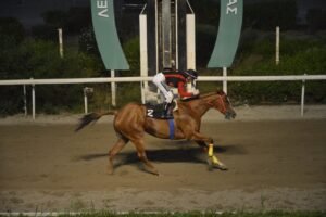 ΙΠΠΟΔΡΟΜΟΣ ΚΥΠΡΟΣ / IPPODROMOS KYPROS ΚΡΕΪΖΙ ΣΟΥΣΟΥ 13/05/2026