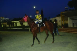 ΙΠΠΟΔΡΟΜΟΣ ΚΥΠΡΟΣ / IPPODROMOS KYPROS ΜΙΚΡΗ ΣΟΦΙΑ - 06/5/2026