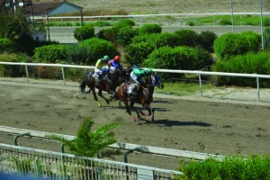 ΙΠΠΟΔΡΟΜΟΣ ΚΥΠΡΟΣ / IPPODROMOS KYPROS ΑΝΤΡΑ - 12/06/2026