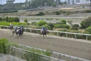 ΙΠΠΟΔΡΟΜΟΣ ΚΥΠΡΟΣ / IPPODROMOS KYPROS ΗΛΙΑΜΠΕΛΑ - 19/06/2026