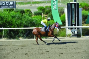 ΙΠΠΟΔΡΟΜΟΣ ΚΥΠΡΟΣ / IPPODROMOS KYPROS ΠΑΝΤΙΝΓΚΤΟΝ - 03/06/2026