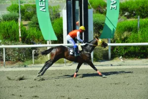 ΙΠΠΟΔΡΟΜΟΣ ΚΥΠΡΟΣ / IPPODROMOS KYPROS ΚΟΡΣΑΡΟ ΠΑΘ - 26/06/2026