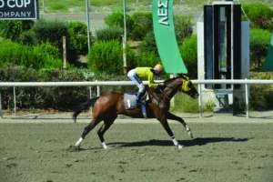 ΙΠΠΟΔΡΟΜΟΣ ΚΥΠΡΟΣ / IPPODROMOS KYPROS ΑΧΕΡΩΝ - 24/06/2026