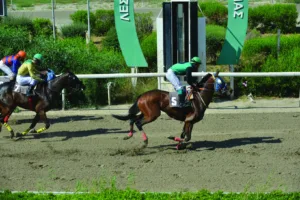 ΙΠΠΟΔΡΟΜΟΣ ΚΥΠΡΟΣ / IPPODROMOS KYPROS ΑΝΤΡΑ - 12/06/2026