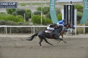 ΙΠΠΟΔΡΟΜΟΣ ΚΥΠΡΟΣ / IPPODROMOS KYPROS ΗΛΙΑΜΠΕΛΑ - 19/06/2026