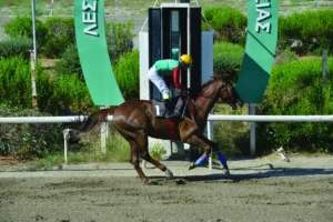 ΙΠΠΟΔΡΟΜΟΣ ΚΥΠΡΟΣ / IPPODROMOS KYPROS ΠΑΝΑΚΡΙΒΟΣ - 24/06/2026