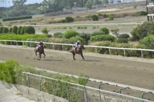ΙΠΠΟΔΡΟΜΟΣ ΚΥΠΡΟΣ / IPPODROMOS KYPROS ΣΠΙΡΙΘΚΙΑΣ - 19/06/2026