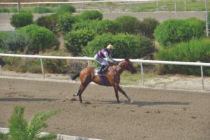 ΙΠΠΟΔΡΟΜΟΣ ΚΥΠΡΟΣ / IPPODROMOS KYPROS ΣΠΙΡΙΘΚΙΑΣ - 19/06/2026