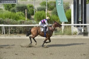 ΙΠΠΟΔΡΟΜΟΣ ΚΥΠΡΟΣ / IPPODROMOS KYPROS ΣΠΙΡΙΘΚΙΑΣ - 19/06/2026