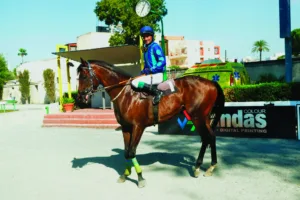 ΙΠΠΟΔΡΟΜΟΣ ΚΥΠΡΟΣ / IPPODROMOS KYPROS ΗΛΙΑΣ ΚΑΡΙΣΜΑ - 26/06/2026