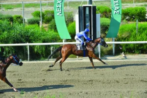 ΙΠΠΟΔΡΟΜΟΣ ΚΥΠΡΟΣ / IPPODROMOS KYPROS ΑΡΤΕΜΙΔΑ - 10/06/2026