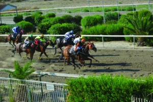 ΙΠΠΟΔΡΟΜΟΣ ΚΥΠΡΟΣ / IPPODROMOS KYPROS ΙΕΡΑΚΛΗΣ - 12/06/2026