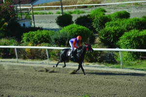ΙΠΠΟΔΡΟΜΟΣ ΚΥΠΡΟΣ / IPPODROMOS KYPROS ΛΑΡΤΖ - 03/06/2026