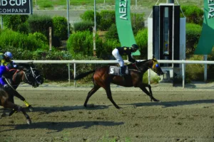 ΙΠΠΟΔΡΟΜΟΣ ΚΥΠΡΟΣ / IPPODROMOS KYPROS ΕΓΓΛΕΖΑ - 17/06/2026