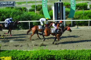 ΙΠΠΟΔΡΟΜΟΣ ΚΥΠΡΟΣ / IPPODROMOS KYPROS ΙΕΡΑΚΛΗΣ - 12/06/2026