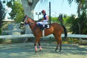 ΙΠΠΟΔΡΟΜΟΣ ΚΥΠΡΟΣ / IPPODROMOS KYPROS ΑΡΧΟΝΤΙΑ - 26/06/2026