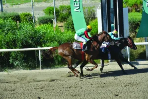 ΙΠΠΟΔΡΟΜΟΣ ΚΥΠΡΟΣ / IPPODROMOS KYPROS ΑΤΛΑΝΤΙΣ - 05/06/2026