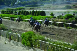 ΙΠΠΟΔΡΟΜΟΣ ΚΥΠΡΟΣ / IPPODROMOS KYPROS ΕΥΚΡΑΤΗΣ - 24/06/2026