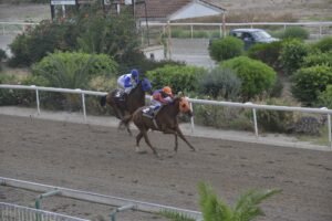 ΙΠΠΟΔΡΟΜΟΣ ΚΥΠΡΟΣ / IPPODROMOS KYPROS ΡΟΧΑΝ - 19/06/2026