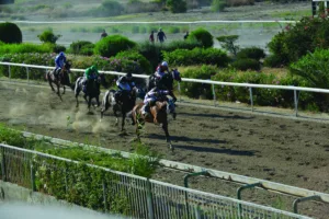 ΙΠΠΟΔΡΟΜΟΣ ΚΥΠΡΟΣ / IPPODROMOS KYPROS ΕΥΚΡΑΤΗΣ - 24/06/2026