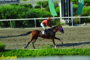 ΙΠΠΟΔΡΟΜΟΣ ΚΥΠΡΟΣ / IPPODROMOS KYPROS ΓΙΟΖΕΒ - 10/06/2026