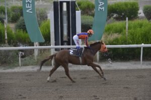 ΙΠΠΟΔΡΟΜΟΣ ΚΥΠΡΟΣ / IPPODROMOS KYPROS ΡΟΧΑΝ - 19/06/2026