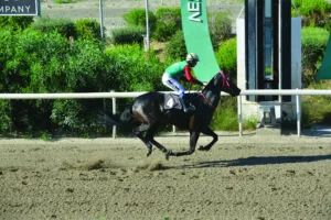 ΙΠΠΟΔΡΟΜΟΣ ΚΥΠΡΟΣ / IPPODROMOS KYPROS ΠΟΥΛΒΕΡ - 05/06/2026