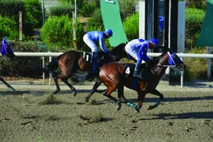 ΙΠΠΟΔΡΟΜΟΣ ΚΥΠΡΟΣ / IPPODROMOS KYPROS ΔΑΤΣ ΟΛ - 26/06/2026
