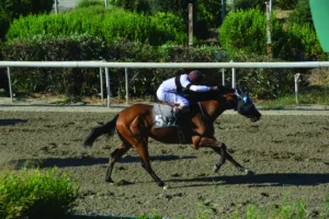ΙΠΠΟΔΡΟΜΟΣ ΚΥΠΡΟΣ / IPPODROMOS KYPROS ΕΥΚΡΑΤΗΣ - 24/06/2026