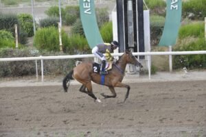ΙΠΠΟΔΡΟΜΟΣ ΚΥΠΡΟΣ / IPPODROMOS KYPROS ΞΕΛΟΓΙΑΣΤΡΑ - 19/06/2026