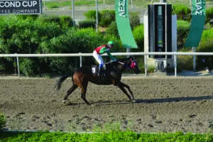 ΙΠΠΟΔΡΟΜΟΣ ΚΥΠΡΟΣ / IPPODROMOS KYPROS ΣΑΝΤΗΣ ΛΑΓΚΕΡ - 12/06/2026