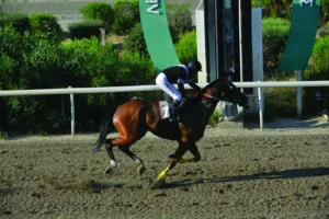 ΙΠΠΟΔΡΟΜΟΣ ΚΥΠΡΟΣ / IPPODROMOS KYPROS ΙΣΟΒΙΤΗΣ - 03/06/2026