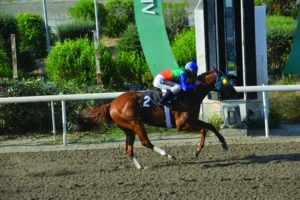 ΙΠΠΟΔΡΟΜΟΣ ΚΥΠΡΟΣ / IPPODROMOS KYPROS ΤΑΡΑΣ ΝΤΟΥΚΑ - 17/06/2026