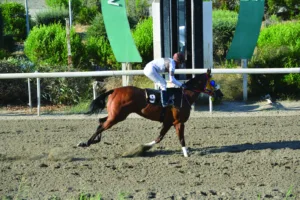 ΙΠΠΟΔΡΟΜΟΣ ΚΥΠΡΟΣ / IPPODROMOS KYPROS ΕΡΣΙΛΙΑ - 24/06/2026