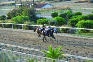 ΙΠΠΟΔΡΟΜΟΣ ΚΥΠΡΟΣ / IPPODROMOS KYPROS ΕΥΣΤΟΧΟΣ - 10/06/2026