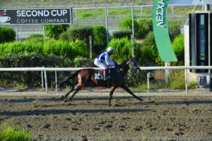 ΙΠΠΟΔΡΟΜΟΣ ΚΥΠΡΟΣ / IPPODROMOS KYPROS ΠΛΑΤΑΝΙΣΤΑΣΑΣ - 26/06/2026