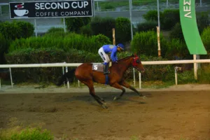 ΙΠΠΟΔΡΟΜΟΣ ΚΥΠΡΟΣ / IPPODROMOS KYPROS ΑΜΥΘΗΤΗ - 17/06/2026