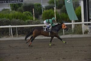 ΙΠΠΟΔΡΟΜΟΣ ΚΥΠΡΟΣ / IPPODROMOS KYPROS ΚΟΥΝΙΕΡΗΣ - 19/01/2026
