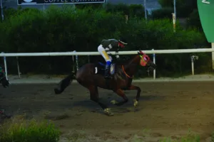 ΙΠΠΟΔΡΟΜΟΣ ΚΥΠΡΟΣ / IPPODROMOS KYPROS ΠΛΟΥΤΑΡΧΟΣ - 10/06/2026