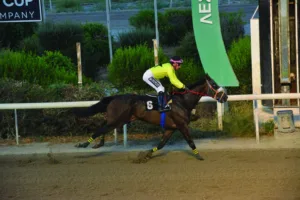 ΙΠΠΟΔΡΟΜΟΣ ΚΥΠΡΟΣ / IPPODROMOS KYPROS ΚΡΥΦΤΗΣ - 24/06/2026