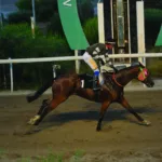 ΙΠΠΟΔΡΟΜΟΣ ΚΥΠΡΟΣ / IPPODROMOS KYPROS ΠΛΟΥΤΑΡΧΟΣ - 10/06/2026