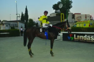 ΙΠΠΟΔΡΟΜΟΣ ΚΥΠΡΟΣ / IPPODROMOS KYPROS ΚΡΥΦΤΗΣ - 24/06/2026